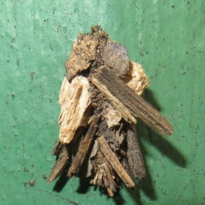 Psychidae (family) IMMATURE (Unidentified case moth or bagworm) at Flynn, ACT - 7 Dec 2021 by Christine