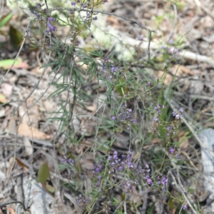 Glycine clandestina at Wamboin, NSW - 22 Oct 2021