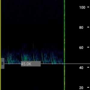 Unidentified at suppressed - 6 Feb 2022