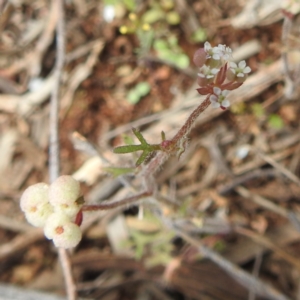 Unidentified at suppressed - 17 Sep 2022