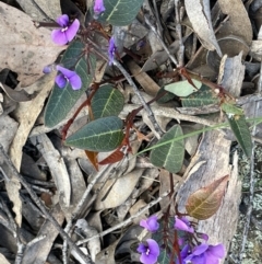 Hardenbergia violacea (False Sarsaparilla) at Kowen Escarpment - 2 Oct 2022 by JaneR
