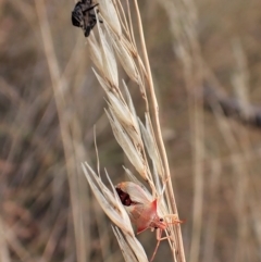 Unidentified at suppressed - 13 Feb 2023