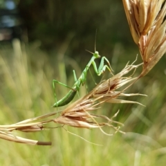 Unidentified at suppressed - 12 Mar 2023