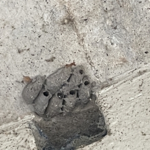 Unidentified at suppressed - 22 Jan 2023