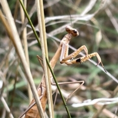 Unidentified at suppressed - 22 Mar 2023