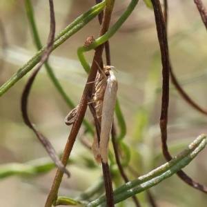 Unidentified at suppressed - 31 Jan 2023