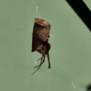 Unidentified at suppressed - 10 Apr 2023