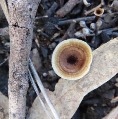 Unidentified Cap on a stem; none of the above at Stromlo, ACT - 21 Apr 2023 by SandraH