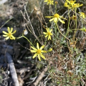 Unidentified at suppressed - 30 Jul 2023