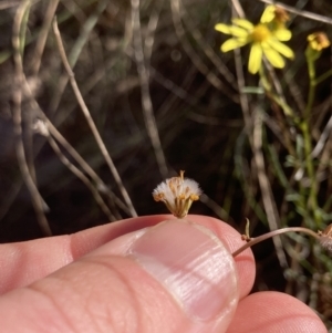 Unidentified at suppressed - 30 Jul 2023