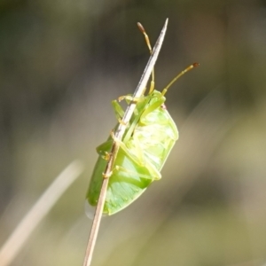 Unidentified at suppressed - 10 May 2023