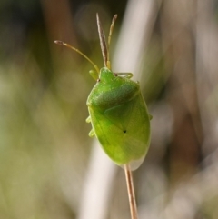 Unidentified at suppressed - 10 May 2023