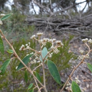 Unidentified at suppressed - 22 Jun 2023