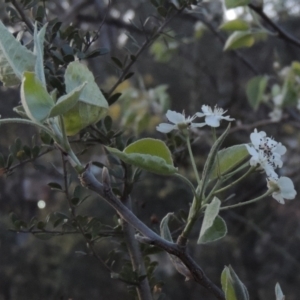 Unidentified at suppressed - 10 Sep 2023