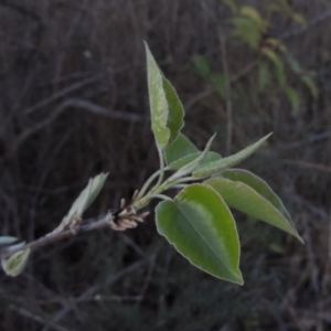 Unidentified at suppressed - 10 Sep 2023