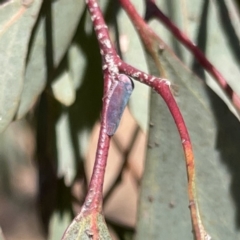 Unidentified at suppressed - 18 Sep 2023