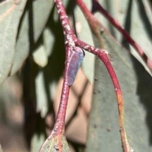 Unidentified at suppressed - 18 Sep 2023