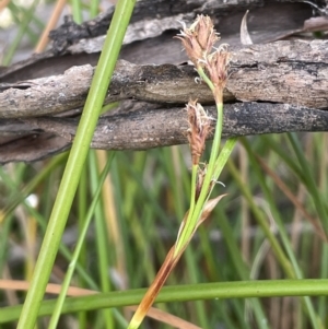 Unidentified at suppressed - 25 Oct 2023