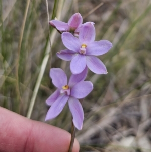 Unidentified at suppressed - 30 Oct 2023