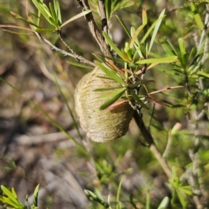 Unidentified at suppressed - 2 Nov 2023