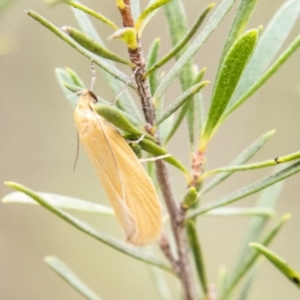 Eulechria electrodes at Bluett's Block (BBL) - 10 Dec 2023