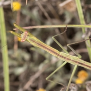 Unidentified at suppressed - 10 Jan 2024