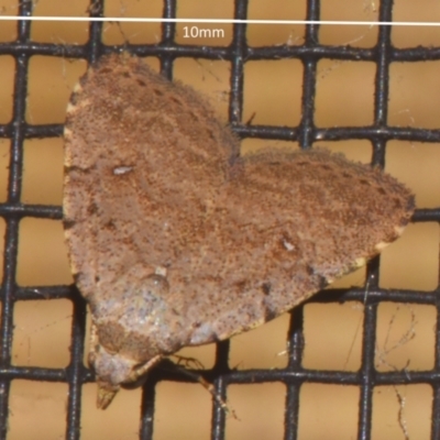 Tolpiodes oligolasia (An Erebid moth (Catacalini)) at Sheldon, QLD - 13 Jan 2024 by PJH123