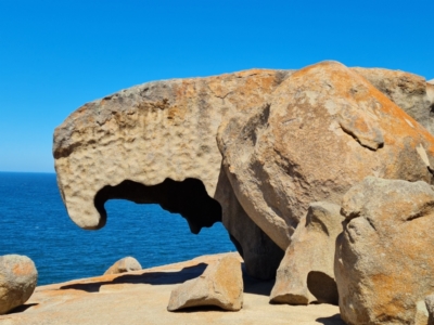 Unidentified Fossil / Geological Feature at Flinders Chase, SA - 16 Feb 2024 by Mike