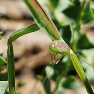 Unidentified at suppressed - 7 Mar 2024