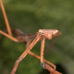 Unidentified at suppressed - 13 Mar 2024