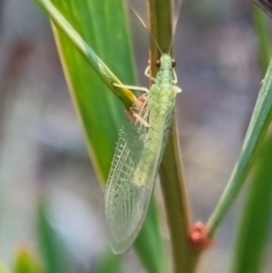 Unidentified at suppressed - 13 Apr 2024