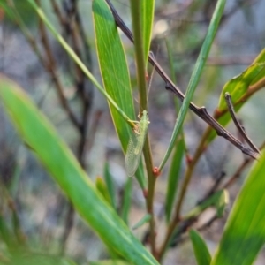 Unidentified at suppressed - 13 Apr 2024