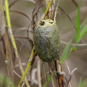 Unidentified at suppressed - 7 Sep 2024