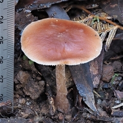 Unidentified at suppressed - 15 May 2024