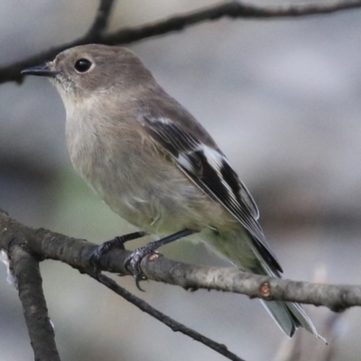 FEMALE