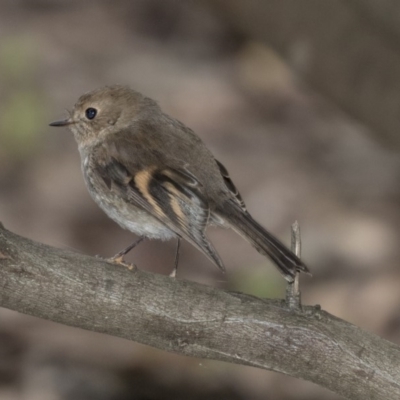 Female