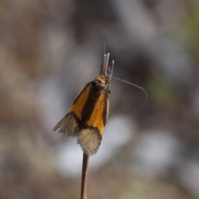 Paul Whitington, Nadgee Nature Reserve