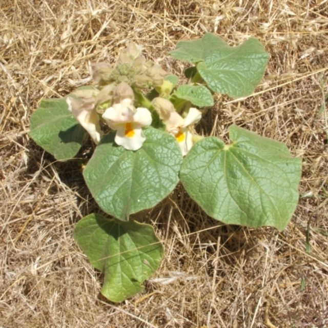 View sample image gallery
