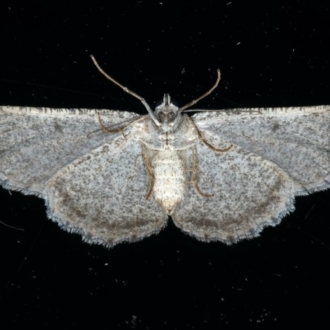 Underside