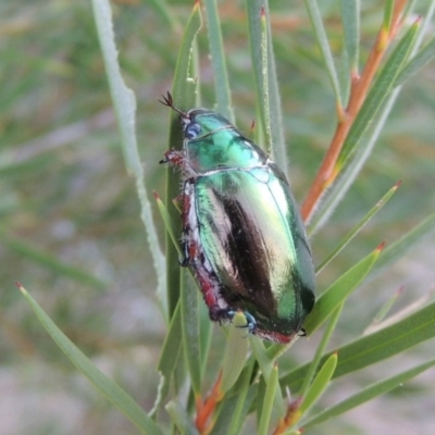 FEMALE