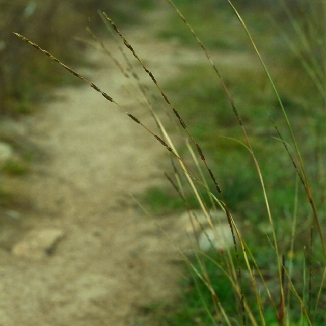 View sample image gallery