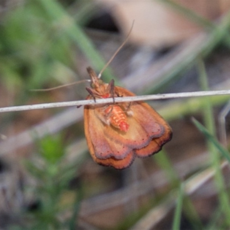 underside