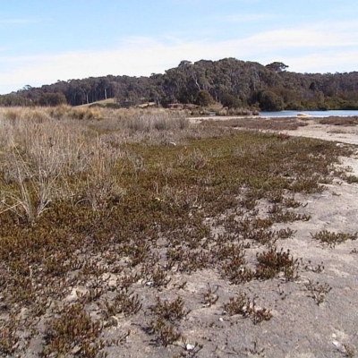 Jackie Miles, Bermagui