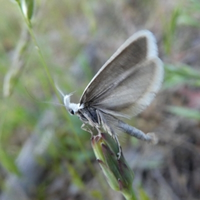 undersides