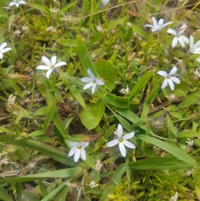 Male plants