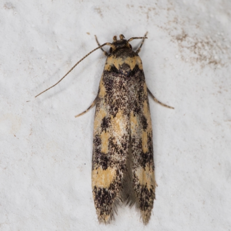 Barea subviridella