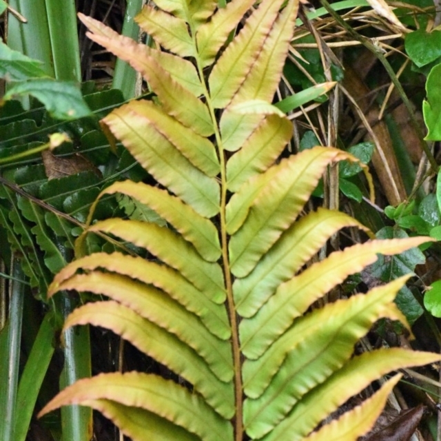 View sample image gallery