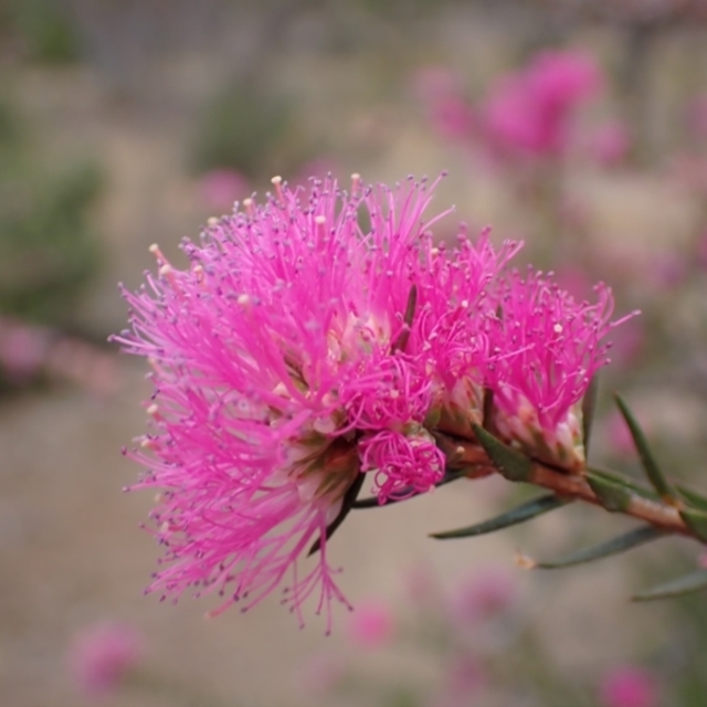 View sample image gallery
