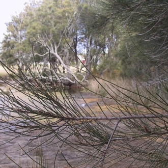 Jackie Miles, Potato Point