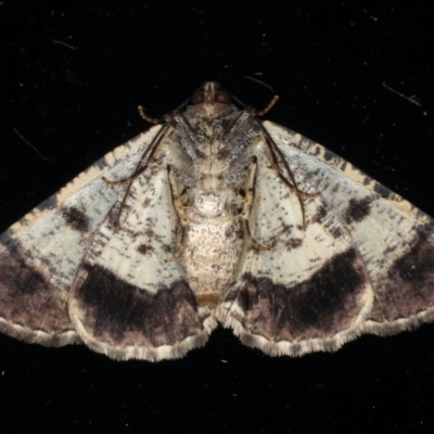 Female underside